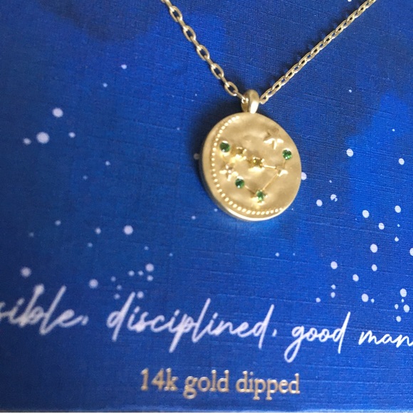 Capricorn 14k Gold Dipped* Zodiac Sign Gift Necklace - Picture 6 of 6